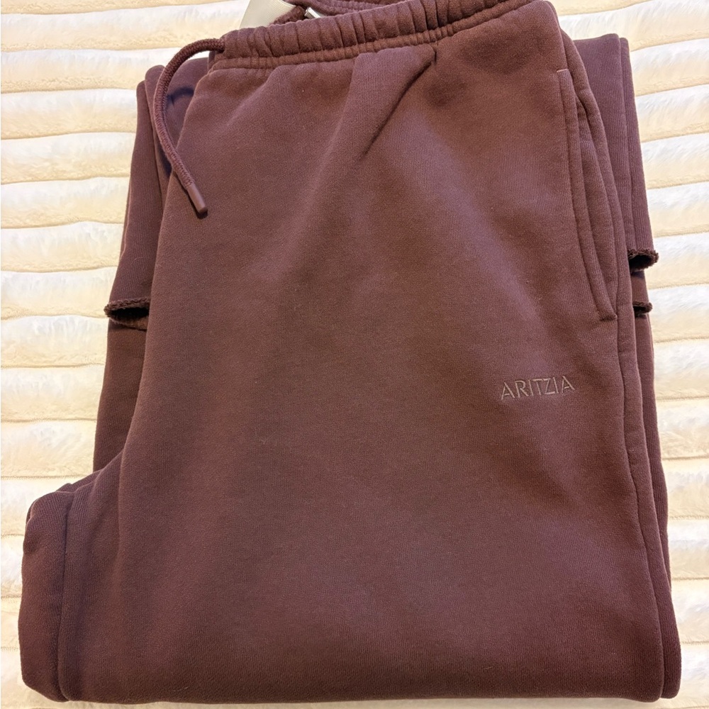 Aritzia Cozy Sweatfleece Mega Flutter™ Sweatpant